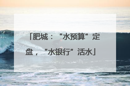 肥城：“水预算”定盘，“水银行”活水