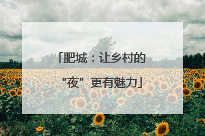 肥城：让乡村的“夜”更有魅力