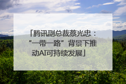 腾讯副总裁蔡光忠：“一带一路”背景下推动AI可持续发展