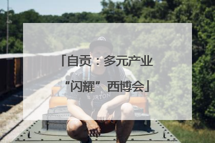 自贡：多元产业“闪耀”西博会