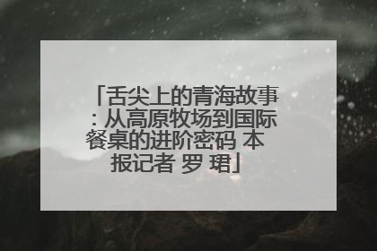 舌尖上的青海故事：从高原牧场到国际餐桌的进阶密码 本报记者 罗 珺