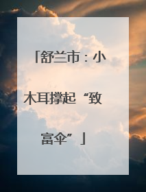 舒兰市：小木耳撑起“致富伞”