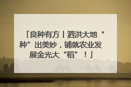 良种有方丨泗洪大地“种”出美妙，铺就农业发展金光大“稻”！
