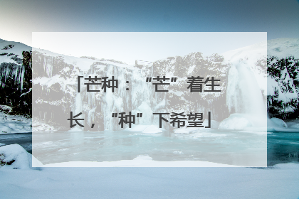 芒种：“芒”着生长，“种”下希望