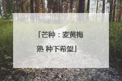 芒种：麦黄梅熟 种下希望