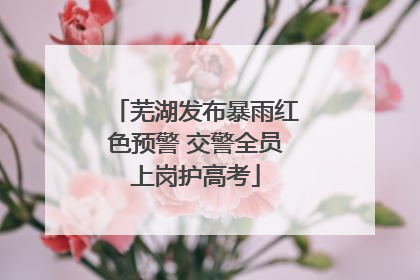 芜湖发布暴雨红色预警 交警全员上岗护高考