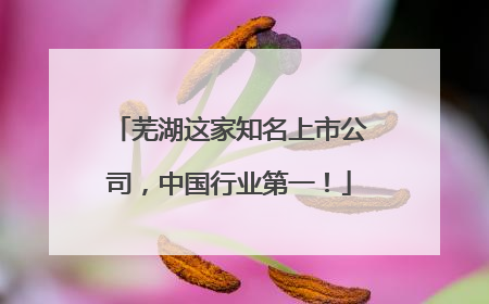 芜湖这家知名上市公司，中国行业第一！