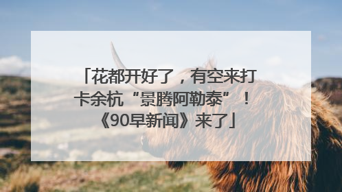花都开好了，有空来打卡余杭“景腾阿勒泰”！《90早新闻》来了