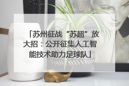 苏州征战“苏超”放大招：公开征集人工智能技术助力足球队