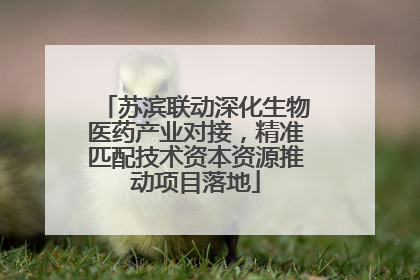 苏滨联动深化生物医药产业对接，精准匹配技术资本资源推动项目落地