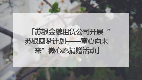 苏银金融租赁公司开展“苏银圆梦计划——童心向未来”微心愿捐赠活动