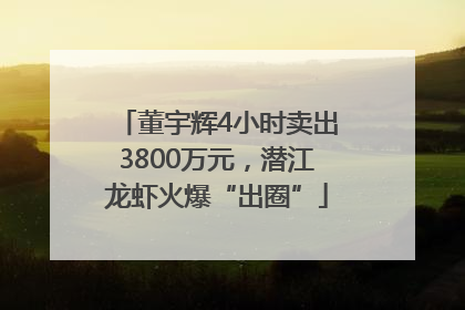 董宇辉4小时卖出3800万元，潜江龙虾火爆“出圈”