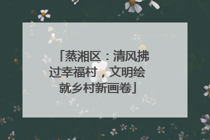 蒸湘区：清风拂过幸福村，文明绘就乡村新画卷