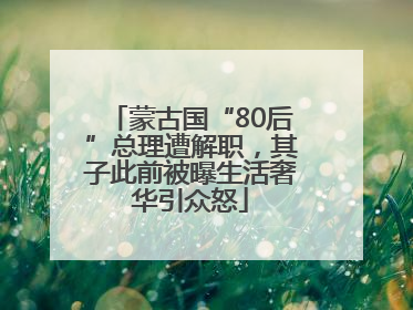 蒙古国“80后”总理遭解职，其子此前被曝生活奢华引众怒