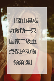 蓝山县成功救助一只国家二级重点保护动物领角鸮