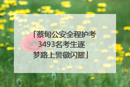 蔡甸公安全程护考 3493名考生逐梦路上警徽闪耀