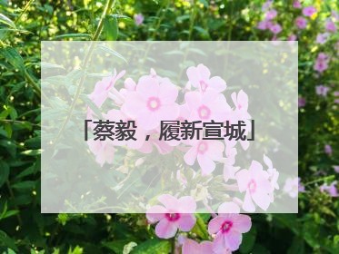 蔡毅，履新宣城