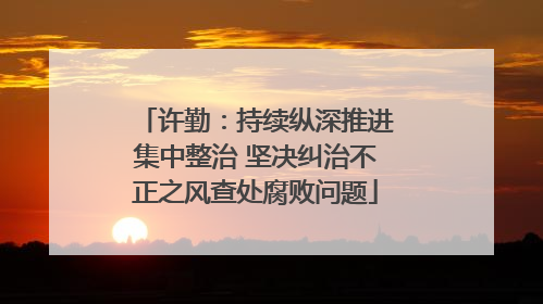 许勤：持续纵深推进集中整治 坚决纠治不正之风查处腐败问题