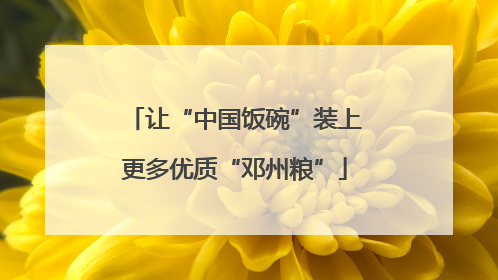 让“中国饭碗”装上更多优质“邓州粮”