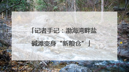 记者手记：渤海湾畔盐碱滩变身“新粮仓”