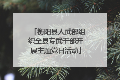 衡阳县人武部组织全县专武干部开展主题党日活动