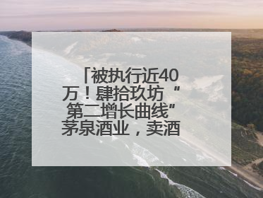 被执行近40万！肆拾玖坊“第二增长曲线”茅泉酒业，卖酒还是卖模式？