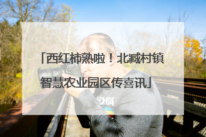 西红柿熟啦！北臧村镇智慧农业园区传喜讯