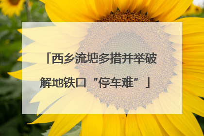 西乡流塘多措并举破解地铁口“停车难”