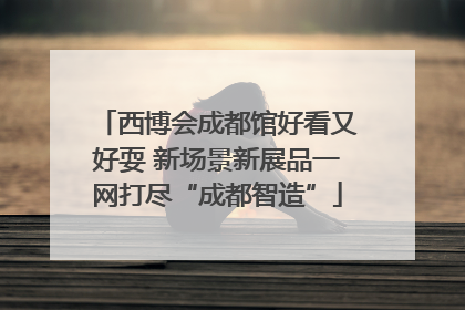西博会成都馆好看又好耍 新场景新展品一网打尽“成都智造”