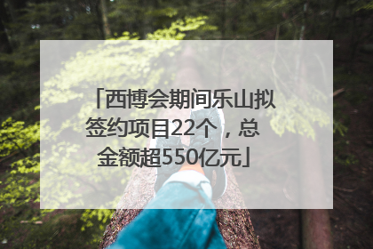 西博会期间乐山拟签约项目22个，总金额超550亿元