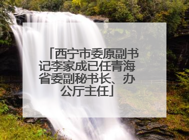 西宁市委原副书记李家成已任青海省委副秘书长、办公厅主任