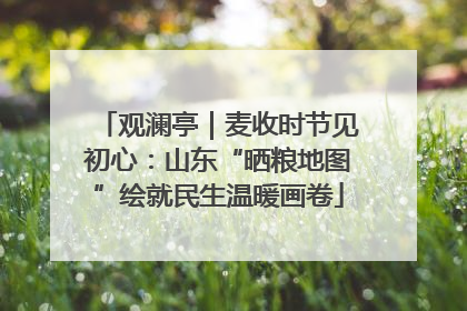 观澜亭｜麦收时节见初心：山东“晒粮地图”绘就民生温暖画卷