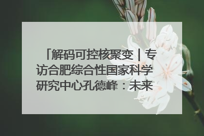 解码可控核聚变｜专访合肥综合性国家科学研究中心孔德峰：未来电费降至足够低时，工厂有望代替农田产粮