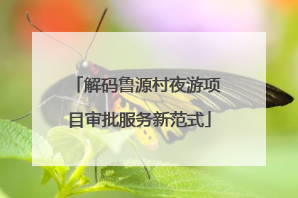解码鲁源村夜游项目审批服务新范式