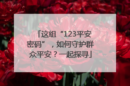 这组“123平安密码”，如何守护群众平安？一起探寻