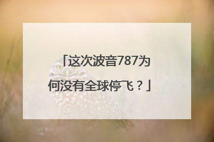 这次波音787为何没有全球停飞？