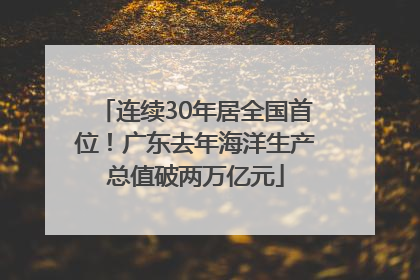 连续30年居全国首位！广东去年海洋生产总值破两万亿元