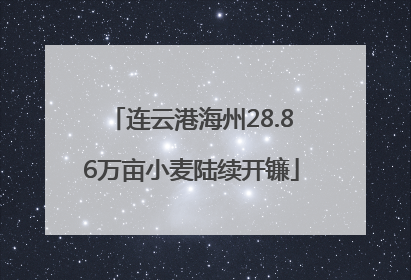 连云港海州28.86万亩小麦陆续开镰