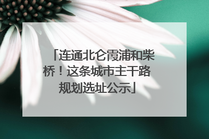 连通北仑霞浦和柴桥！这条城市主干路规划选址公示