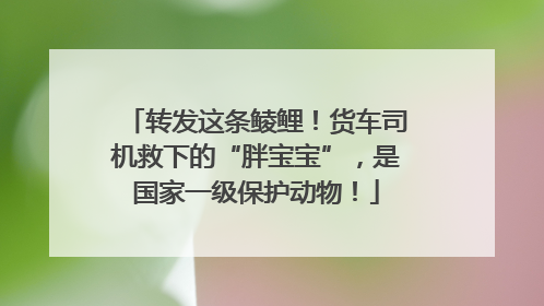 转发这条鲮鲤！货车司机救下的“胖宝宝”，是国家一级保护动物！