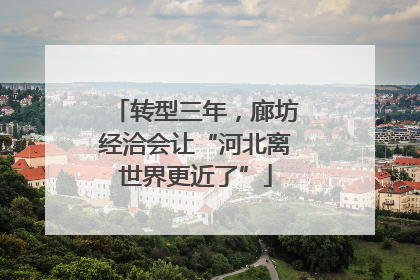转型三年，廊坊经洽会让“河北离世界更近了”