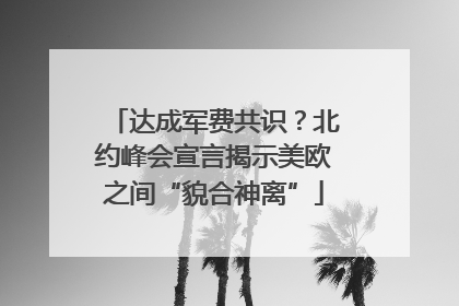 达成军费共识？北约峰会宣言揭示美欧之间“貌合神离”