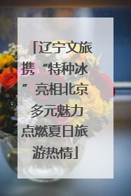 辽宁文旅携“特种冰”亮相北京 多元魅力点燃夏日旅游热情