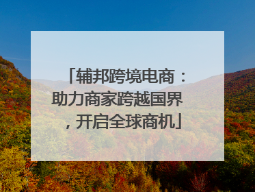 辅邦跨境电商：助力商家跨越国界，开启全球商机