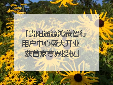 贵阳通源鸿蒙智行用户中心盛大开业 获首家尊界授权