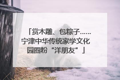 赏木雕、包粽子……宁津中华传统家学文化园圈粉“洋朋友”