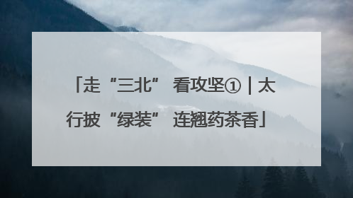 走“三北” 看攻坚①｜太行披“绿装” 连翘药茶香