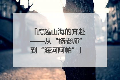 跨越山海的奔赴——从“杨老师”到“海河阿帕”