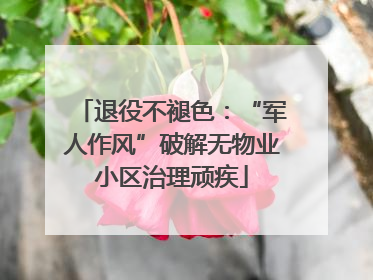 退役不褪色：“军人作风”破解无物业小区治理顽疾