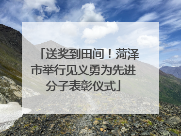 送奖到田间！菏泽市举行见义勇为先进分子表彰仪式